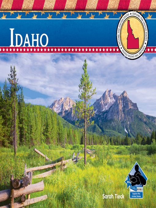 Title details for Idaho by Sarah Tieck - Available